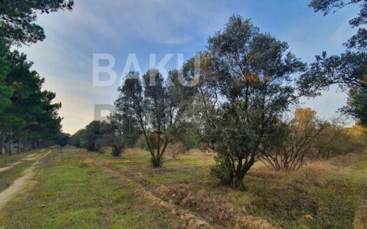 Land for Sale in Baku