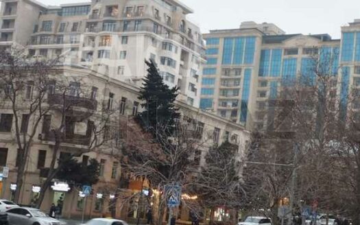 3 Room New Apartment for Sale in Baku