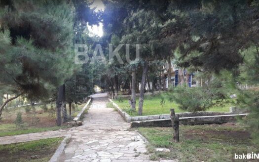 3 Room Old Apartment for Sale in Baku