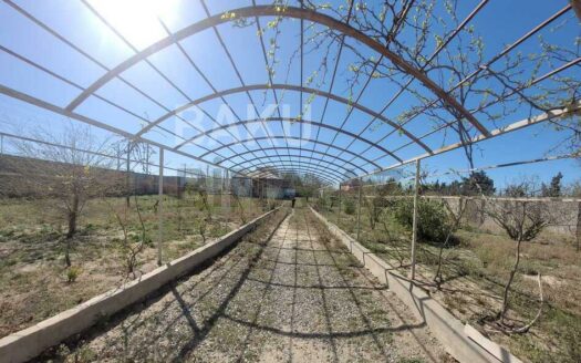 Garden for Sale in Baku