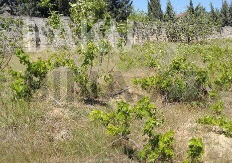 Land for Sale in Baku