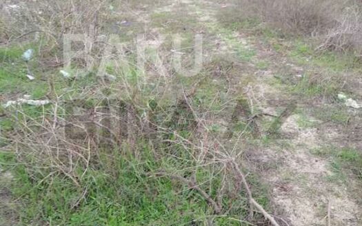 Land for Sale in Baku