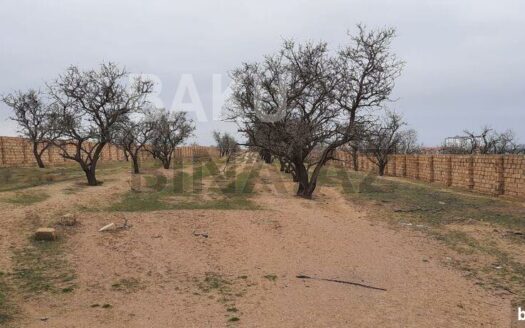 Land for Sale in Baku