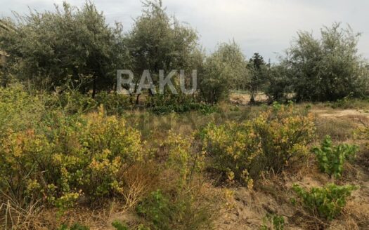 Land for Sale in Sumgait