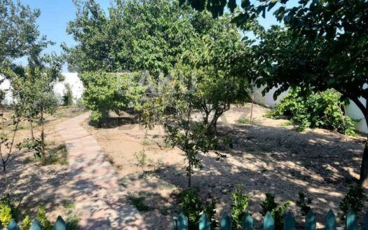 Garden for Sale in Baku