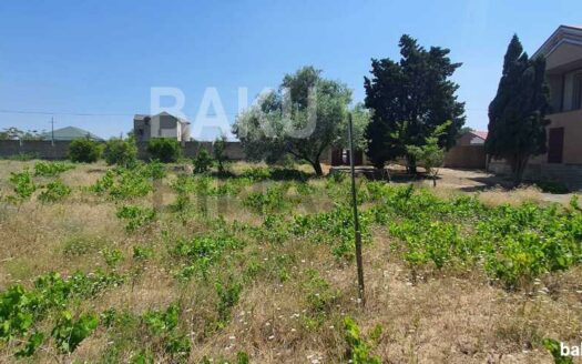 Land for Sale in Baku