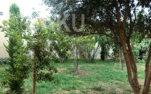 Land for Sale in Baku