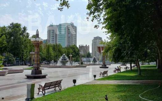 4 Room New Apartment for Sale in Baku